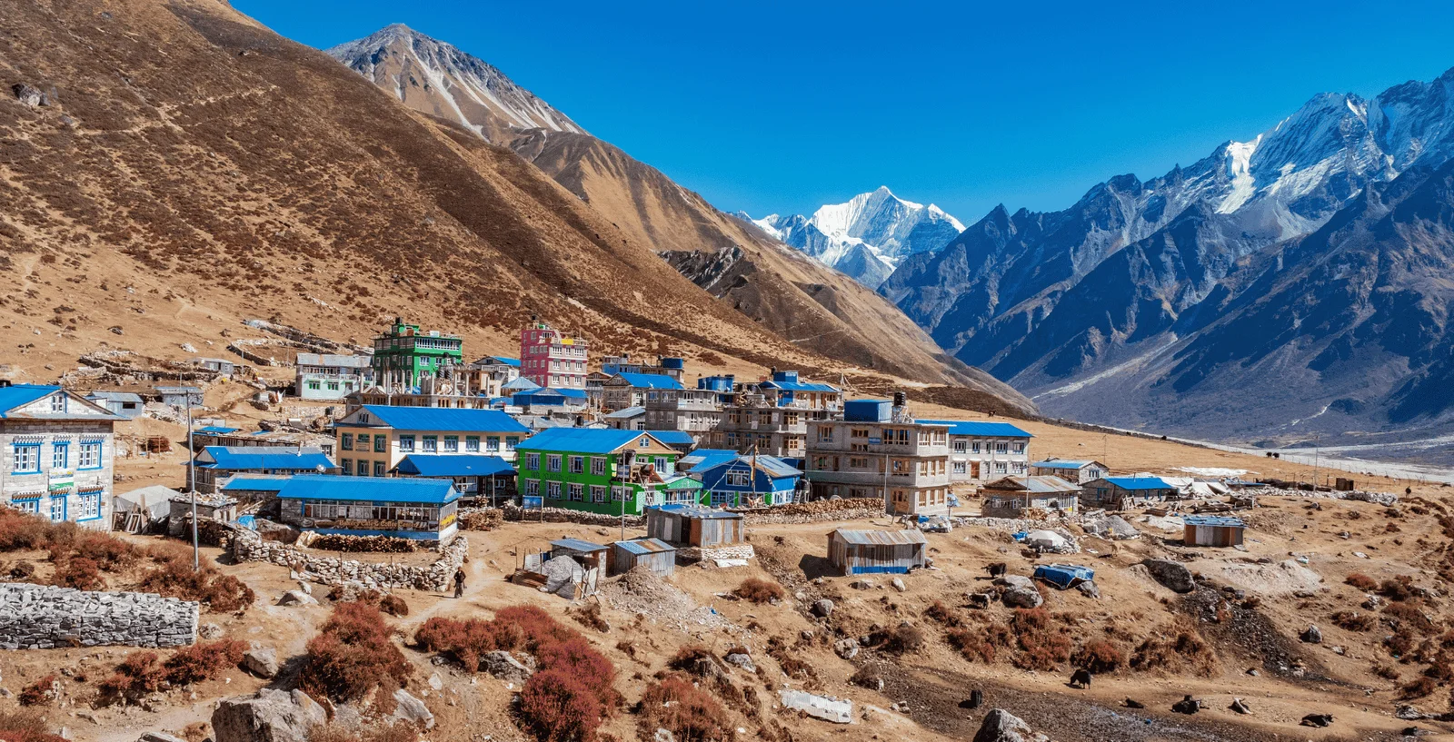 Langtang Valley