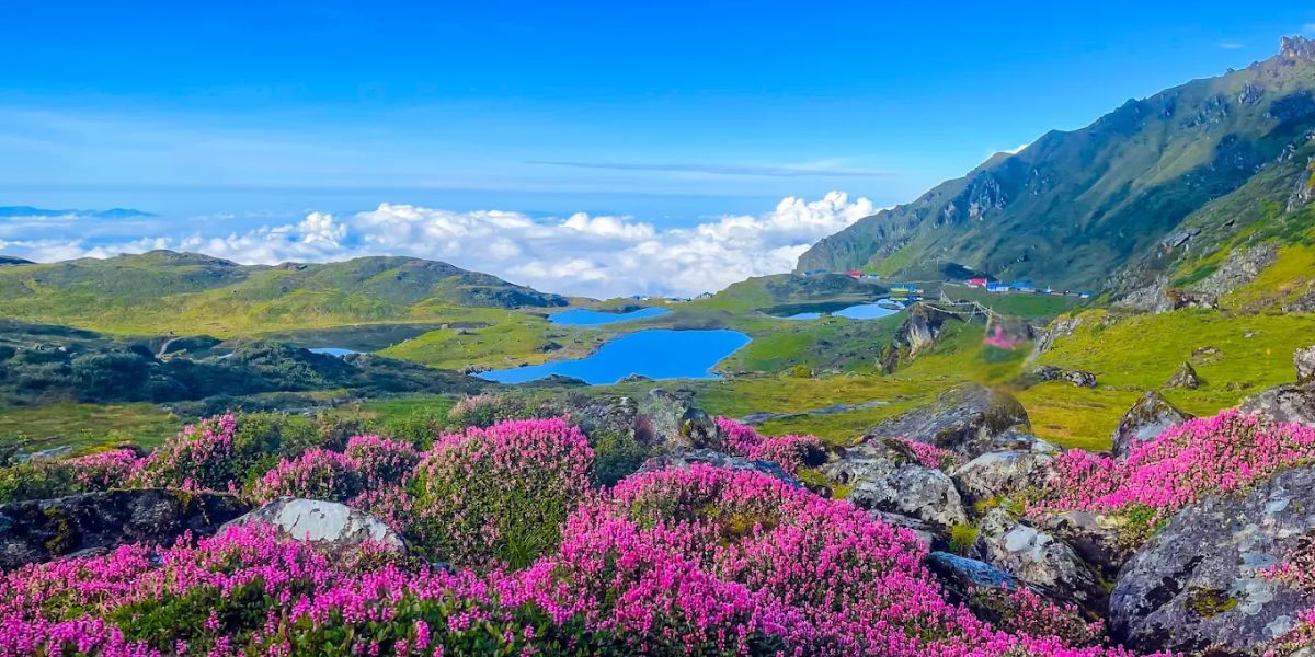 Panch Pokhari Trek