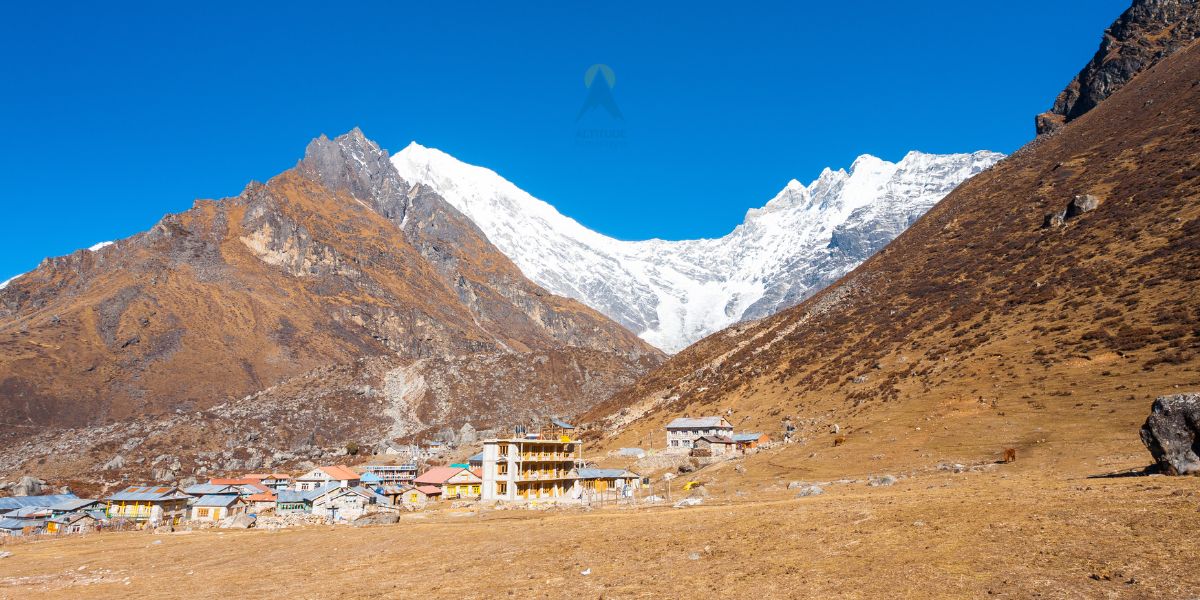 Autumn Season in Langtang