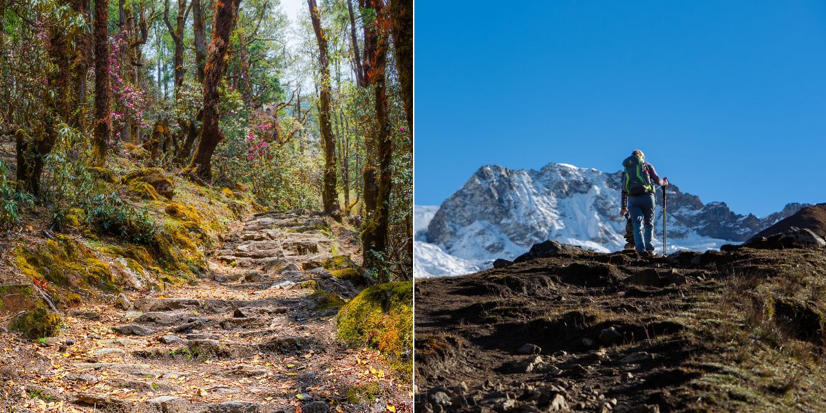 Langtang Trek Trail Condition