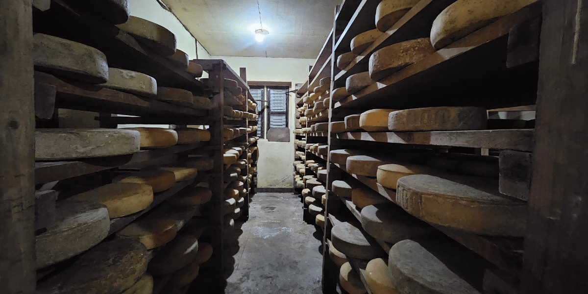 Yak cheese of Langtang