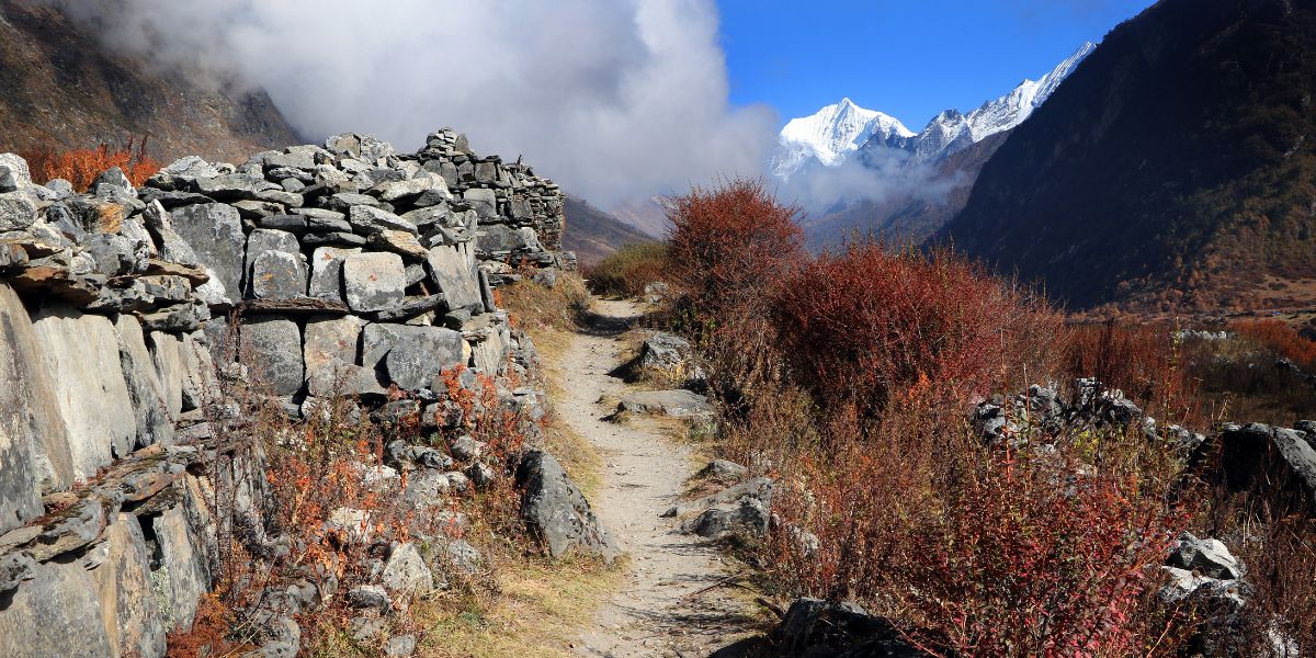 Best Time to Visit Langtang Trek after 2026 Flood