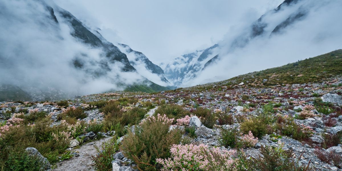 Langtang Valley Formation
