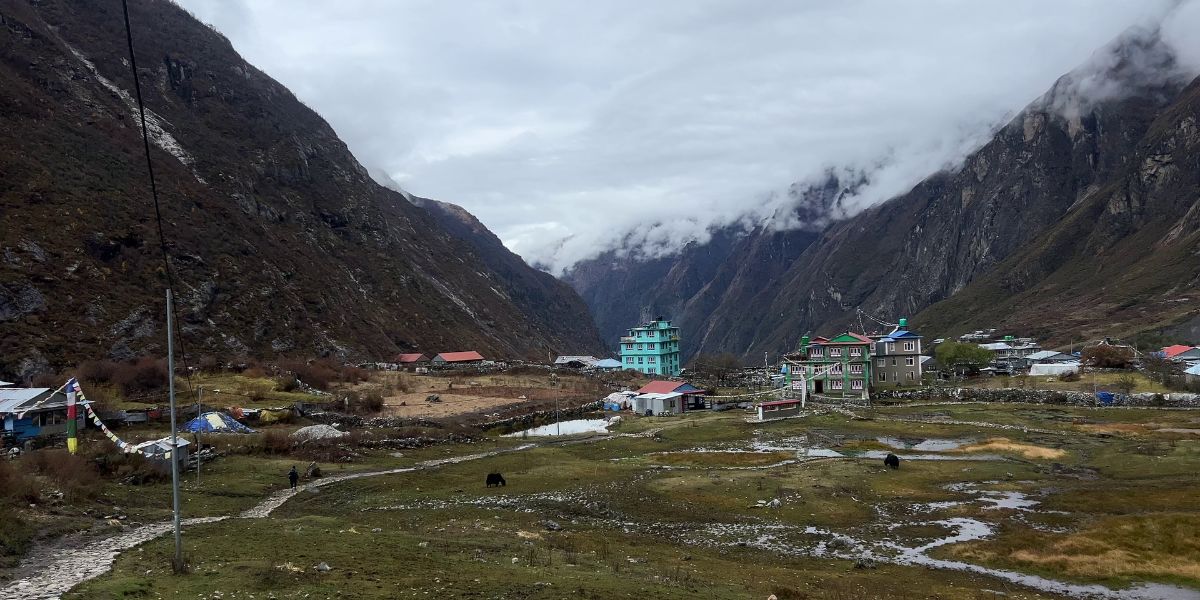 Temperate Zone of Langtang National Park