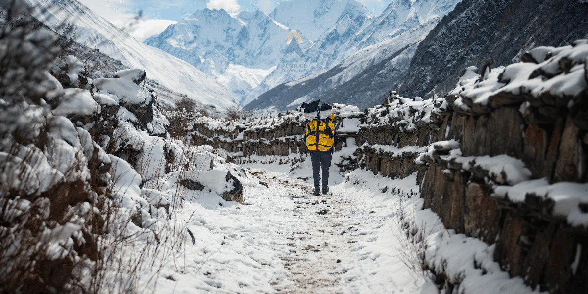 Porter for Langtang Trek