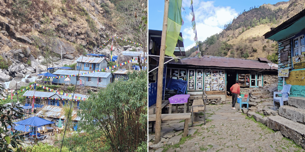 Bamboo and Rimche Village