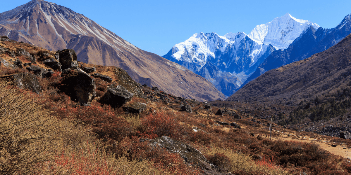 Langtang Trek in Autumn