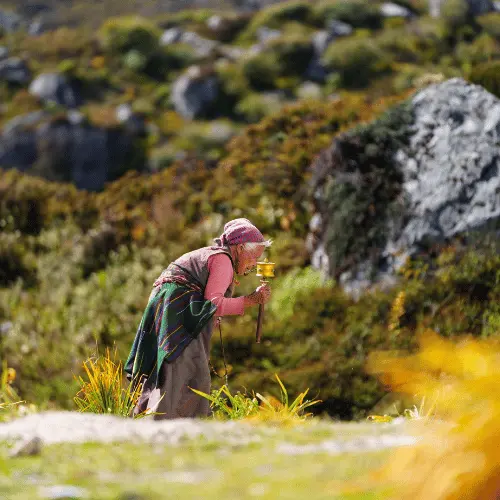 Tamang Culture of Langtang Valley